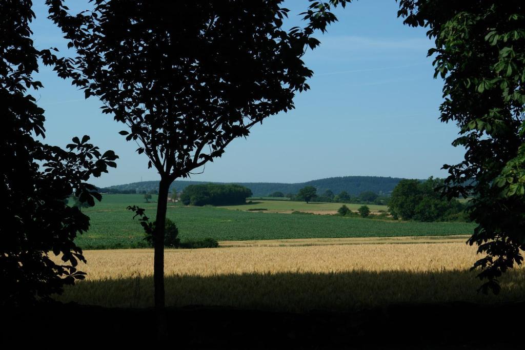 Chambres D'Hotes - Domaine Des Perrieres Crux-la-Ville Eksteriør billede